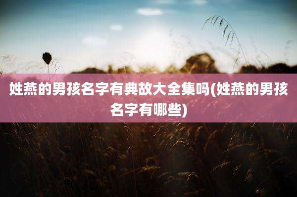 姓燕的男孩名字有典故大全集吗(姓燕的男孩名字有哪些)