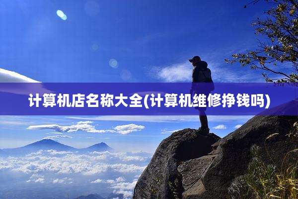 计算机店名称大全(计算机维修挣钱吗)