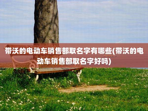 带沃的电动车销售部取名字有哪些(带沃的电动车销售部取名字好吗)