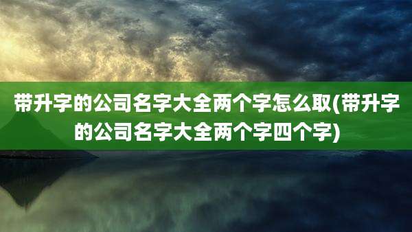 带升字的公司名字大全两个字怎么取(带升字的公司名字大全两个字四个字)