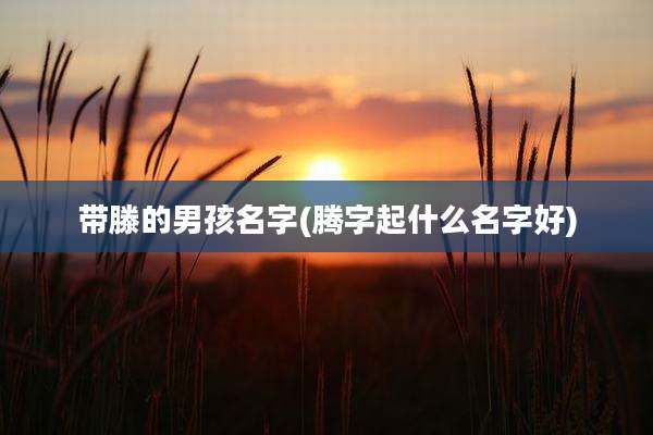 带滕的男孩名字(腾字起什么名字好)