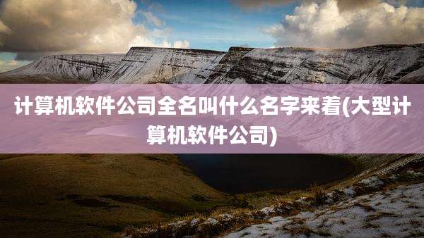 计算机软件公司全名叫什么名字来着(大型计算机软件公司)