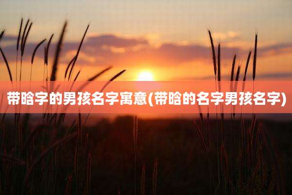 带晗字的男孩名字寓意(带晗的名字男孩名字)