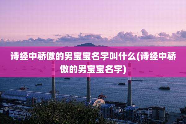 诗经中骄傲的男宝宝名字叫什么(诗经中骄傲的男宝宝名字)