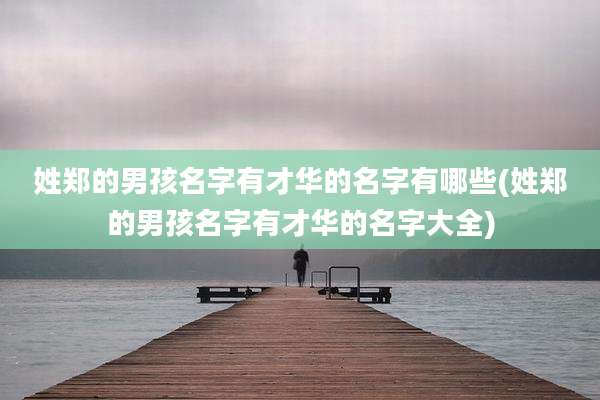姓郑的男孩名字有才华的名字有哪些(姓郑的男孩名字有才华的名字大全)