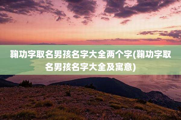 鞠功字取名男孩名字大全两个字(鞠功字取名男孩名字大全及寓意)