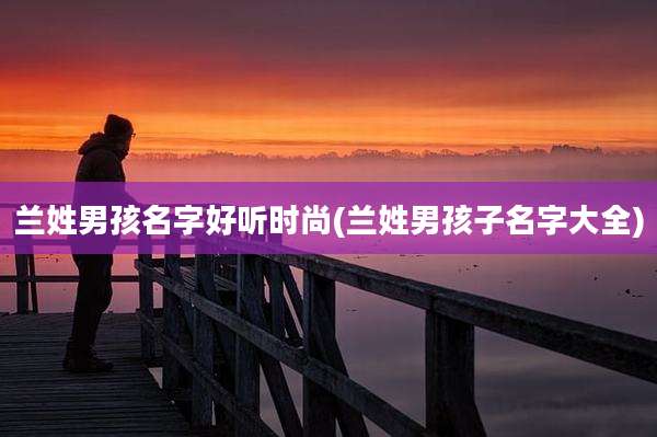 兰姓男孩名字好听时尚(兰姓男孩子名字大全)