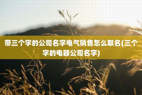带三个字的公司名字电气销售怎么取名(三个字的电器公司名字)