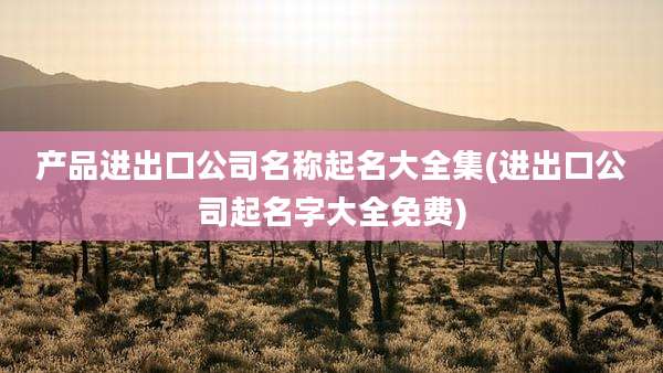 产品进出口公司名称起名大全集(进出口公司起名字大全免费)