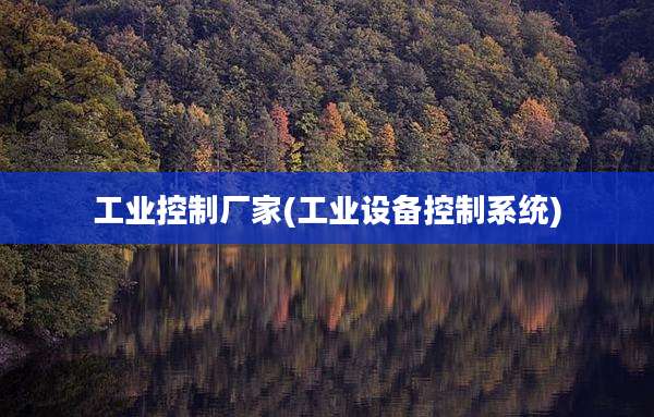 工业控制厂家(工业设备控制系统)