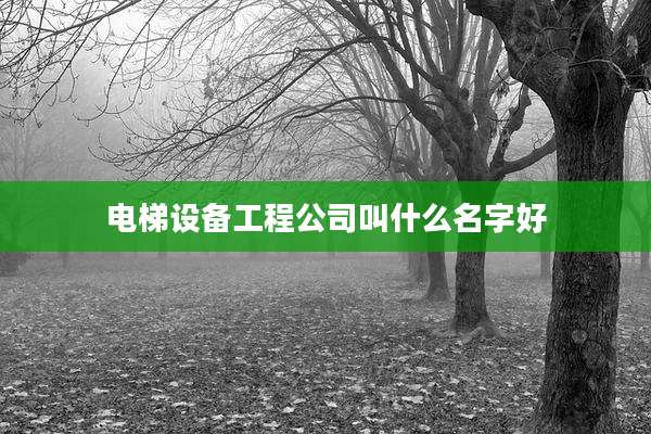 电梯设备工程公司叫什么名字好