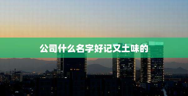 公司什么名字好记又土味的