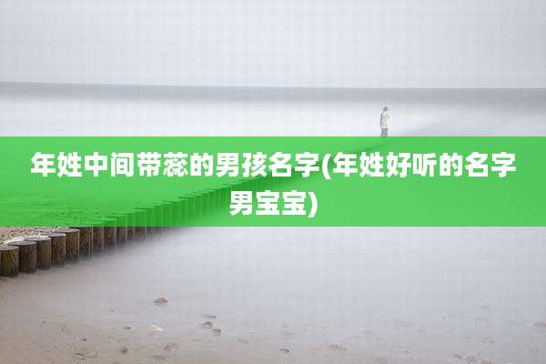 年姓中间带蕊的男孩名字(年姓好听的名字男宝宝)