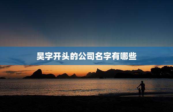 昊字开头的公司名字有哪些