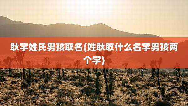耿字姓氏男孩取名(姓耿取什么名字男孩两个字)