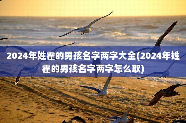 2024年姓霍的男孩名字两字大全(2024年姓霍的男孩名字两字怎么取)