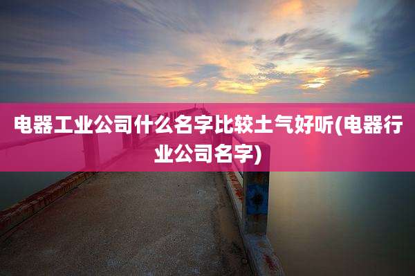电器工业公司什么名字比较土气好听(电器行业公司名字)