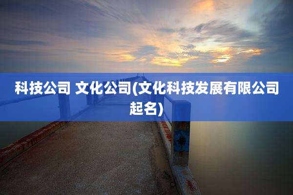 科技公司 文化公司(文化科技发展有限公司起名)