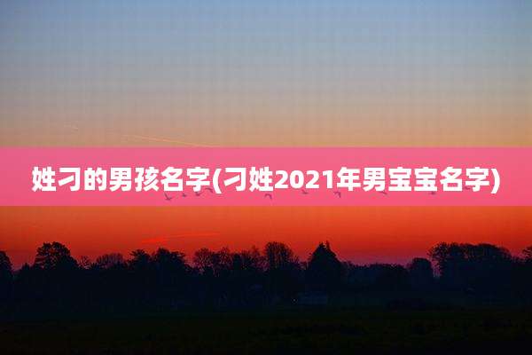 姓刁的男孩名字(刁姓2021年男宝宝名字)