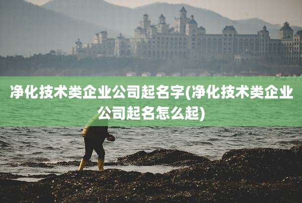净化技术类企业公司起名字(净化技术类企业公司起名怎么起)