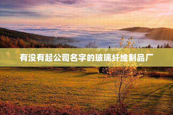 有没有起公司名字的玻璃纤维制品厂