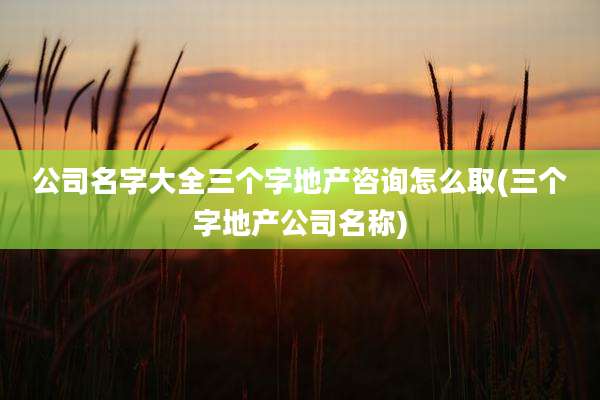公司名字大全三个字地产咨询怎么取(三个字地产公司名称)