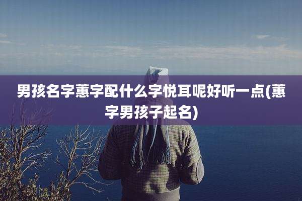 男孩名字蕙字配什么字悦耳呢好听一点(蕙字男孩子起名)