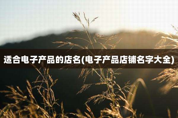 适合电子产品的店名(电子产品店铺名字大全)