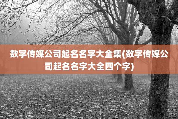 数字传媒公司起名名字大全集(数字传媒公司起名名字大全四个字)