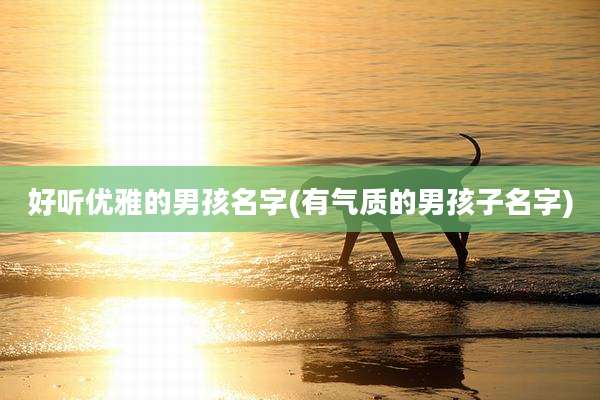 好听优雅的男孩名字(有气质的男孩子名字)