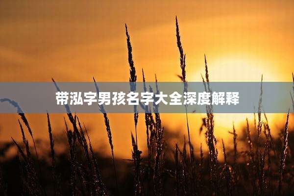 带泓字男孩名字大全深度解释