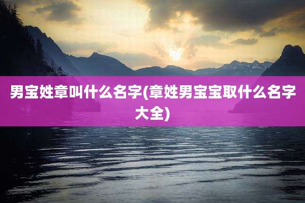 男宝姓章叫什么名字(章姓男宝宝取什么名字大全)
