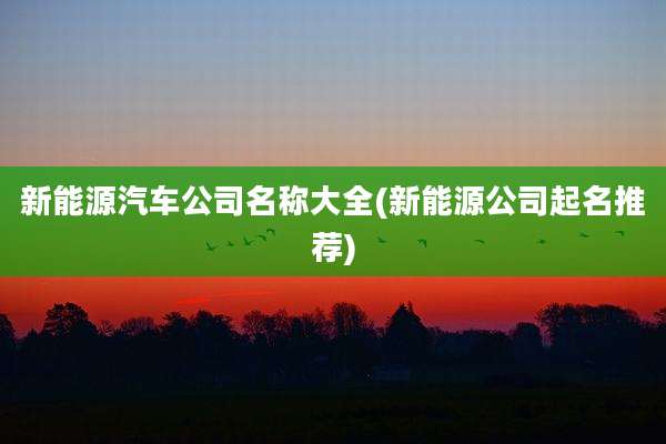新能源汽车公司名称大全(新能源公司起名推荐)