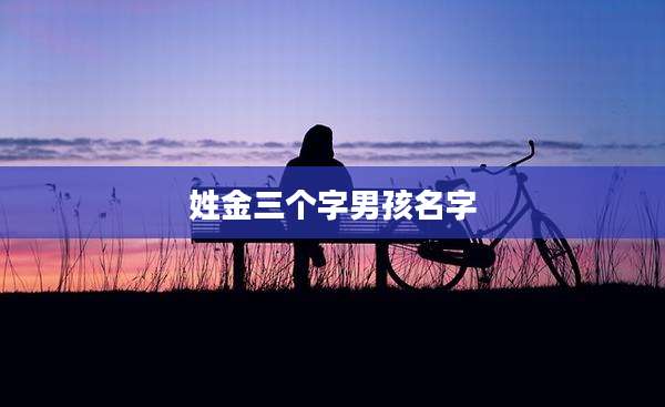 姓金三个字男孩名字