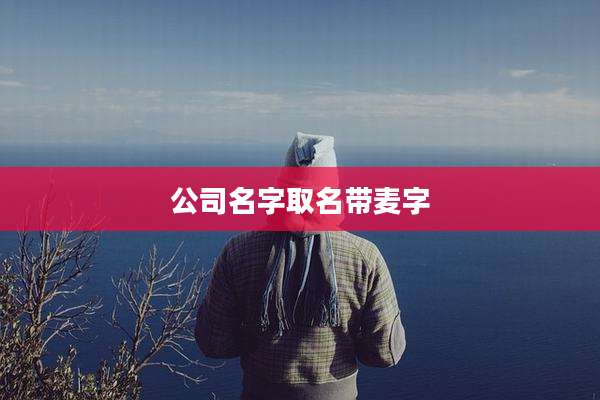 公司名字取名带麦字