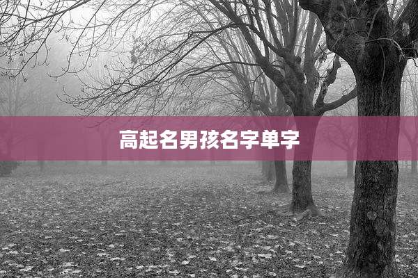 高起名男孩名字单字