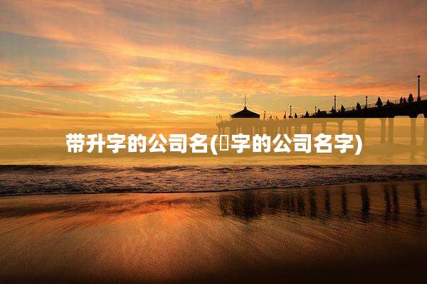 带升字的公司名(昇字的公司名字)