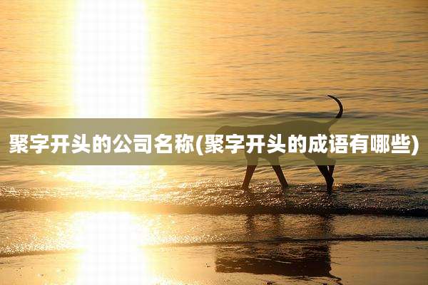 聚字开头的公司名称(聚字开头的成语有哪些)