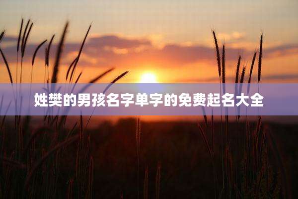 姓樊的男孩名字单字的免费起名大全