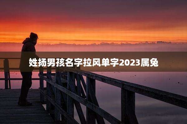 姓扬男孩名字拉风单字2023属兔