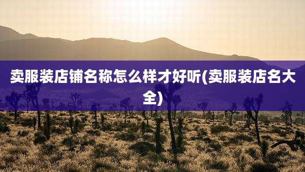卖服装店铺名称怎么样才好听(卖服装店名大全)