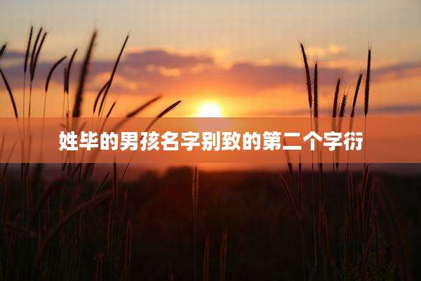 姓毕的男孩名字别致的第二个字衍
