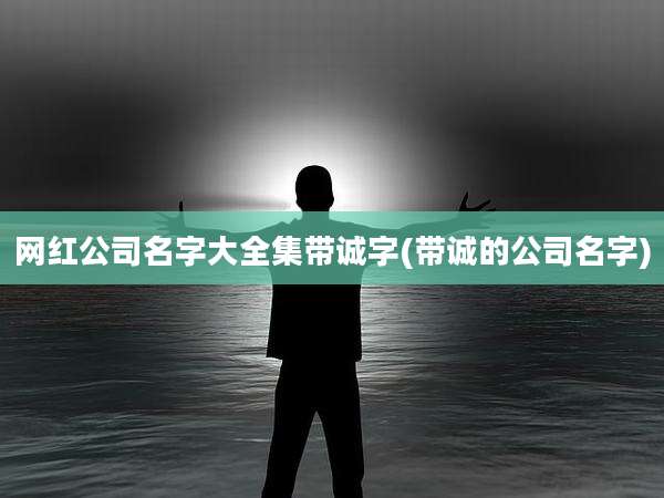 网红公司名字大全集带诚字(带诚的公司名字)