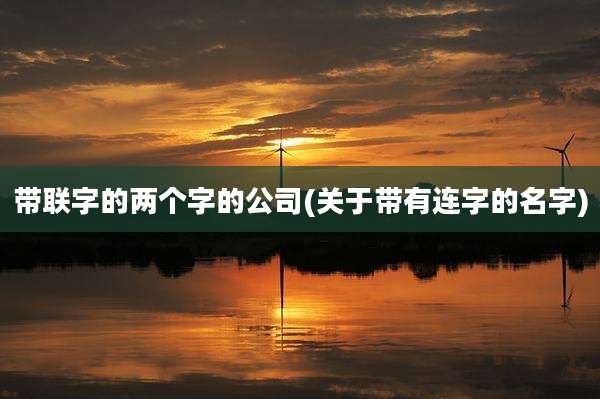 带联字的两个字的公司(关于带有连字的名字)