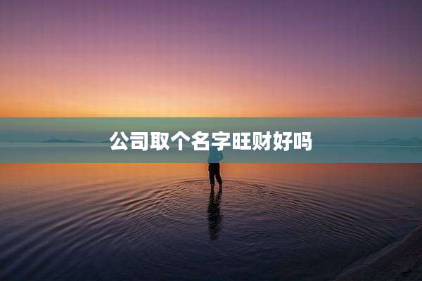 公司取个名字旺财好吗