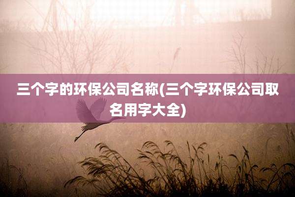 三个字的环保公司名称(三个字环保公司取名用字大全)