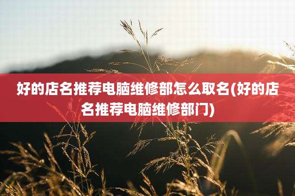 好的店名推荐电脑维修部怎么取名(好的店名推荐电脑维修部门)