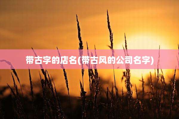 带古字的店名(带古风的公司名字)