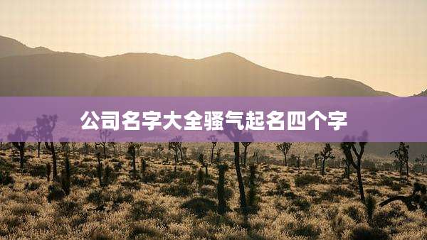 公司名字大全骚气起名四个字