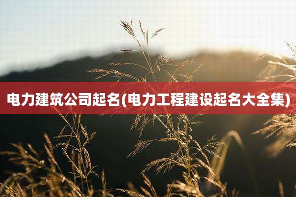 电力建筑公司起名(电力工程建设起名大全集)
